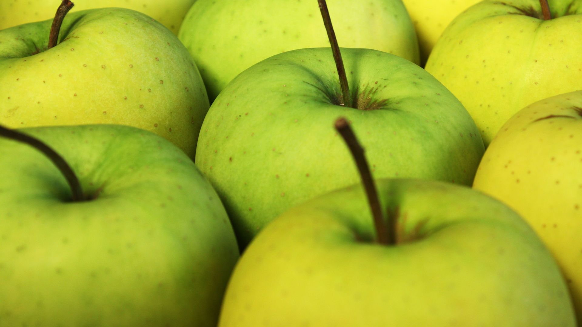 Manzanas frescas de Lleida seleccionadas por Triquali Foods