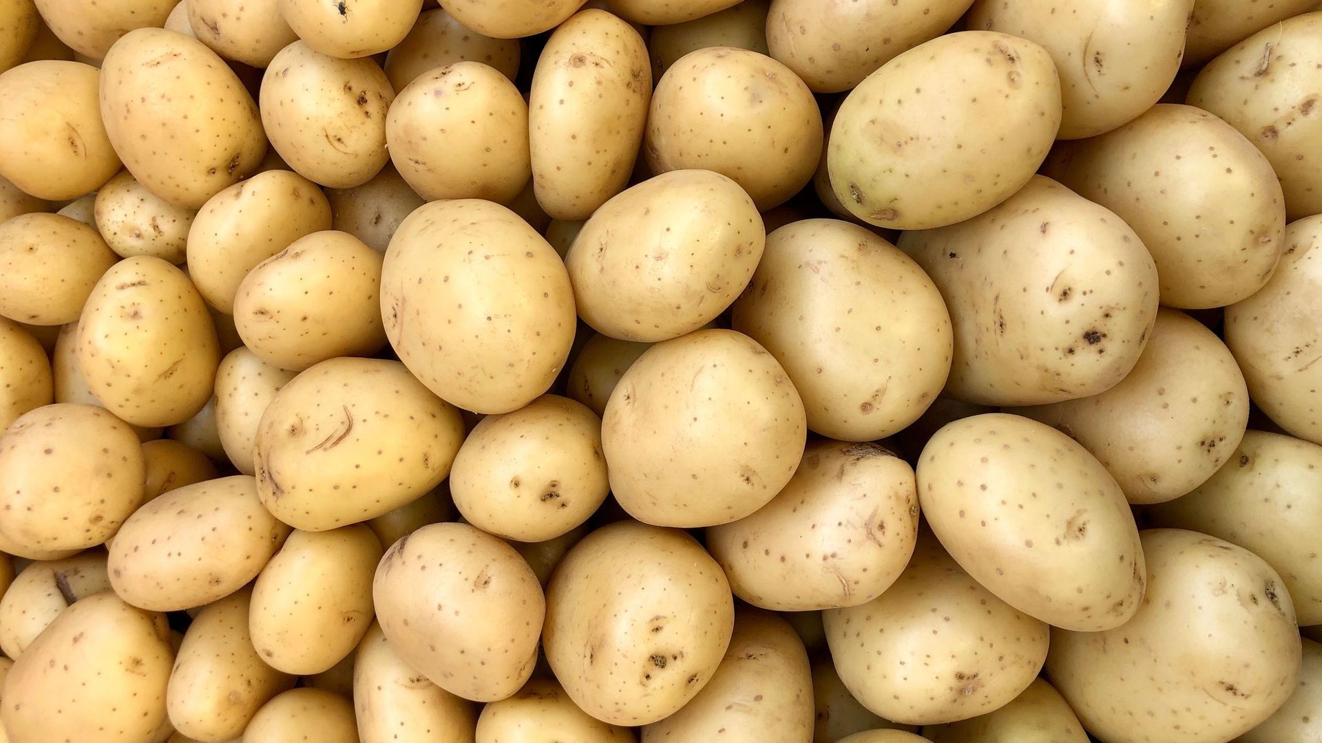 Patatas de calidad comercializadas por Triquali Foods