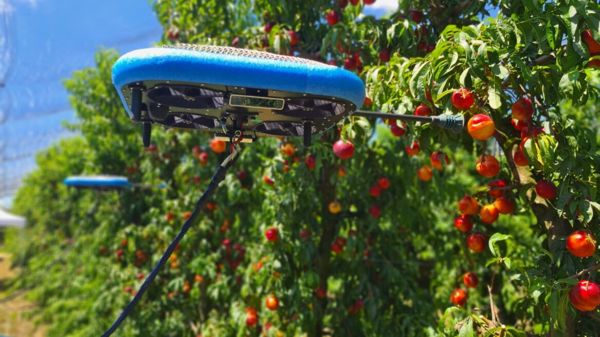 Cultivo de frutales y tecnología agrícola en el sector hortofrutícola